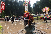 安芸のはやし田 （新庄のはやし田）