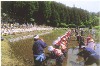 塩原の大山供養田植