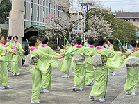 おどり花見 おどり花見