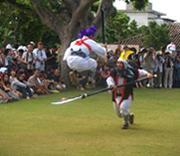 竹富島の種子取祭